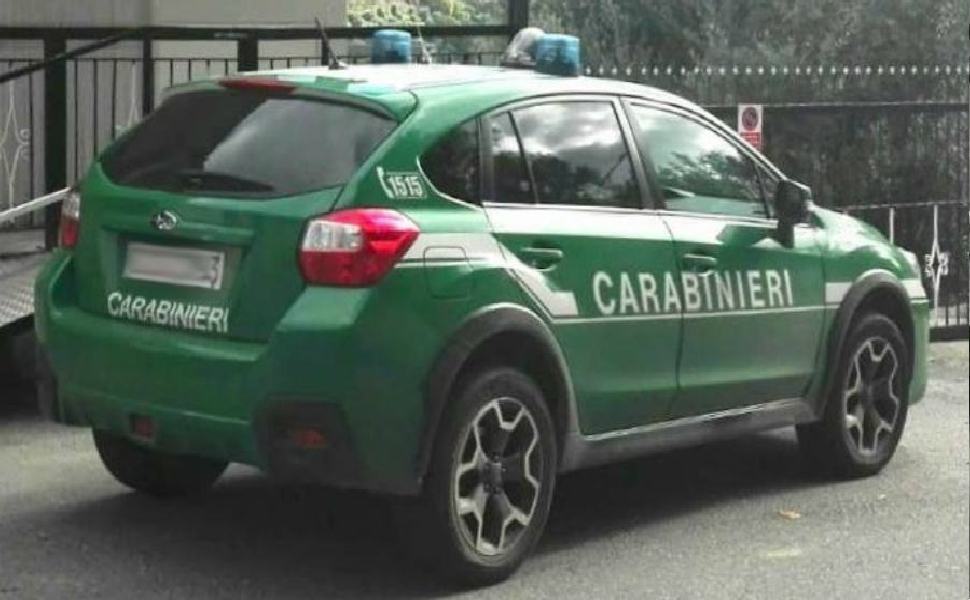 carabinieri forestale 7