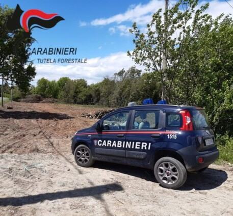 carabinieri forestale 8