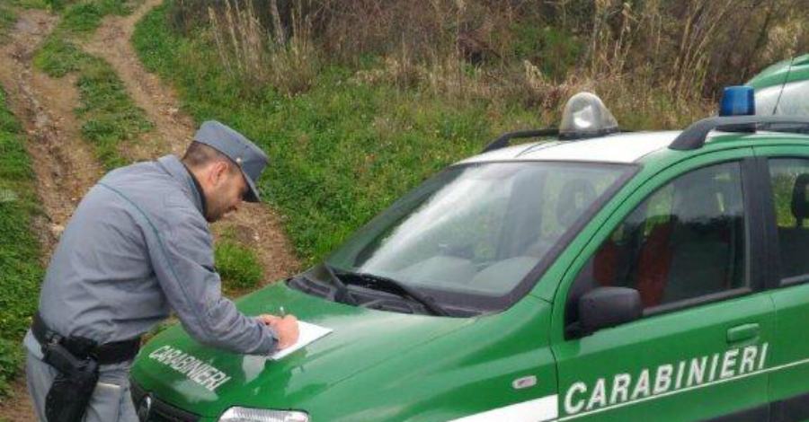 carabinieri forestale controlli nella zona 5