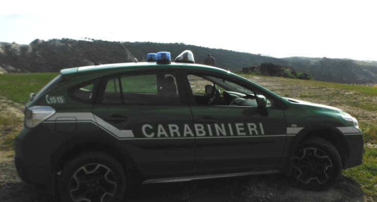 carabinieri forestale