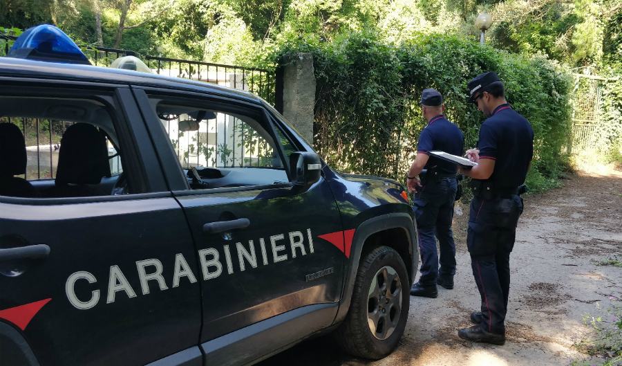 carabinieri forestali 1 1