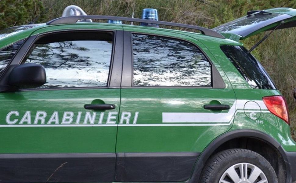 carabinieri forestali 1 2