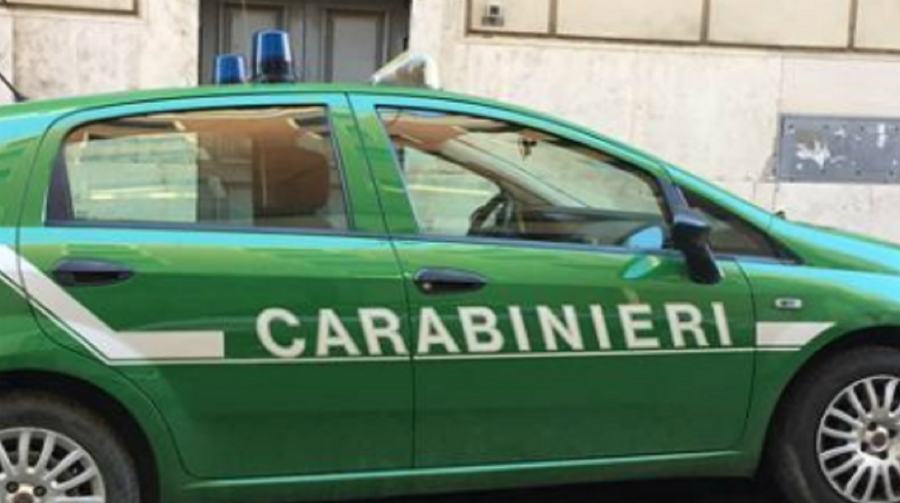 Tentato incendio boschivo, presunto piromane davanti al Gip 51 carabinieri forestali 1