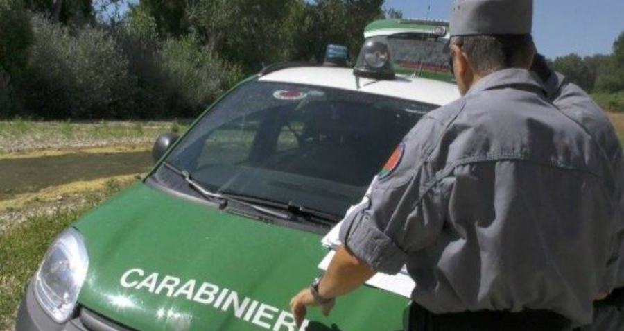 Costruisce immobile senza alcun titolo, denunciato 31enne 51 carabinieri forestali 15