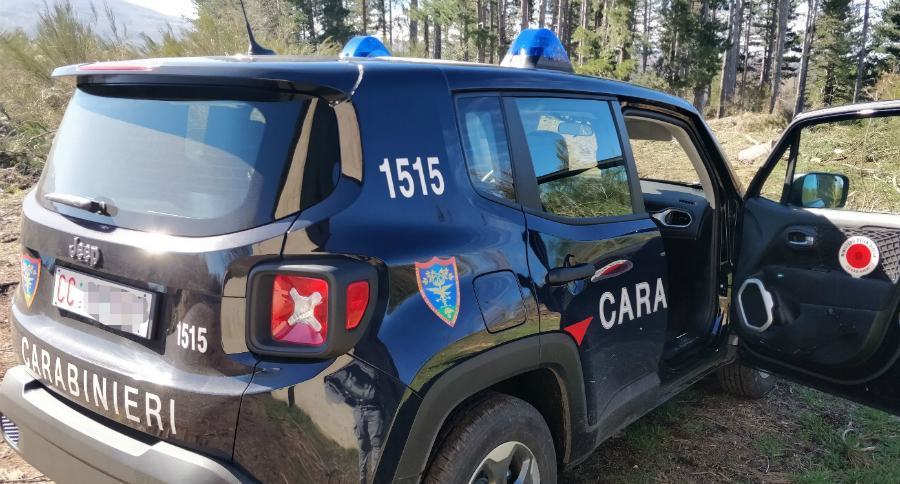carabinieri forestali 16