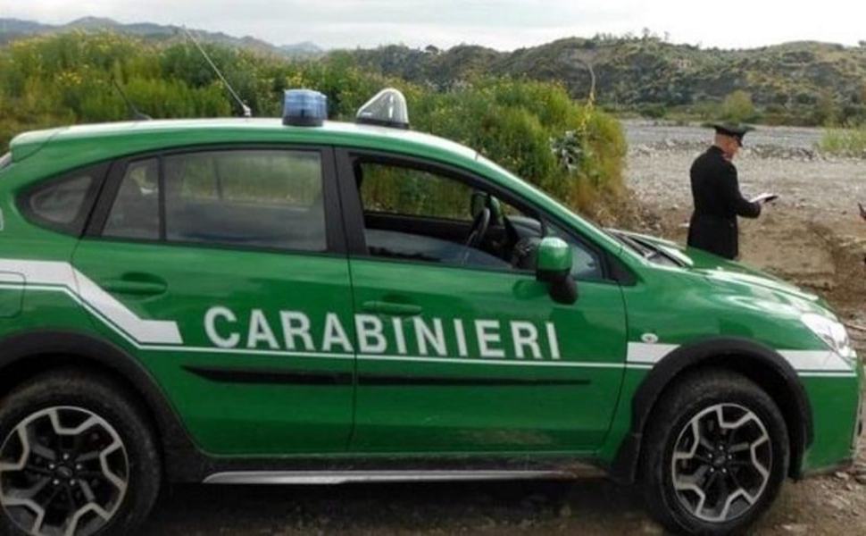carabinieri forestali 20