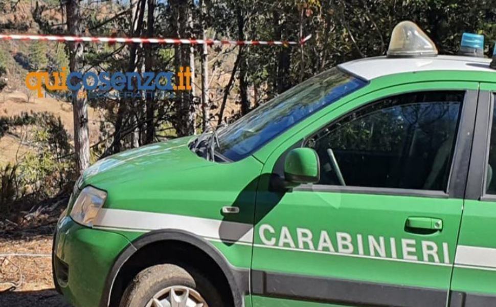 carabinieri forestali 23