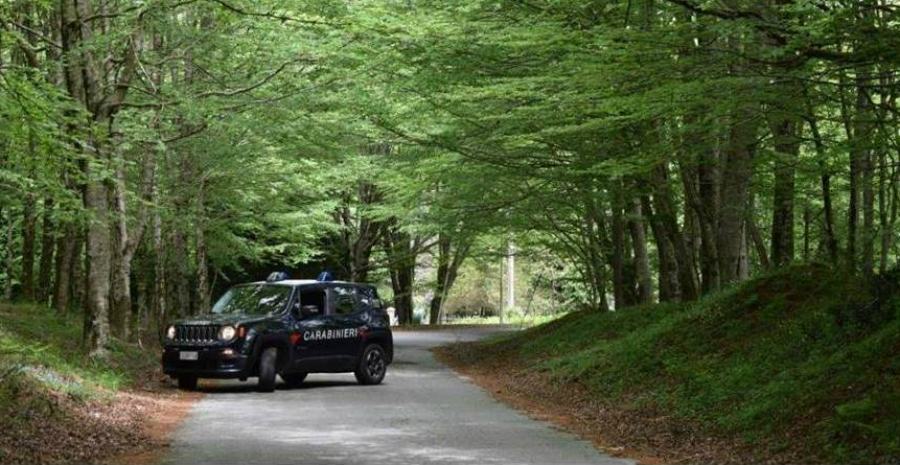 carabinieri forestali 5