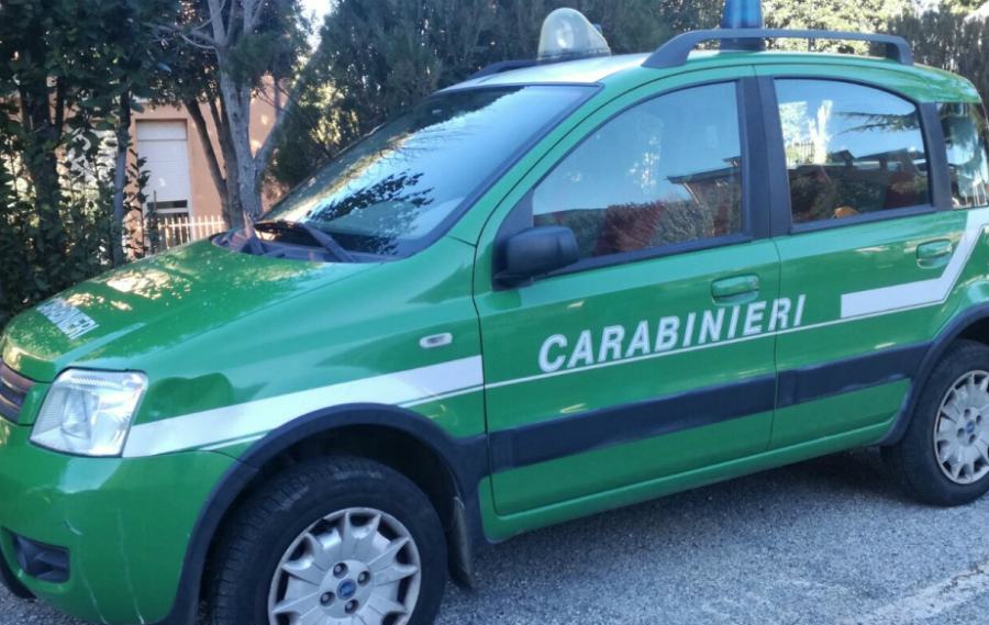 carabinieri forestali 7
