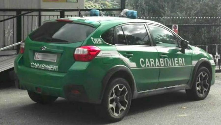 carabinieri forestali auto 2