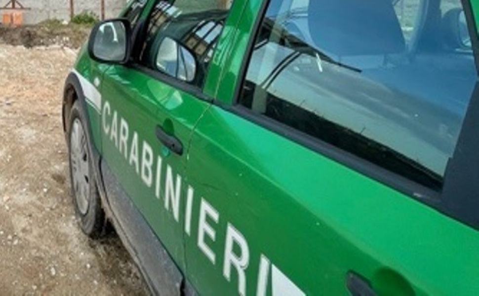 carabinieri forestali auto