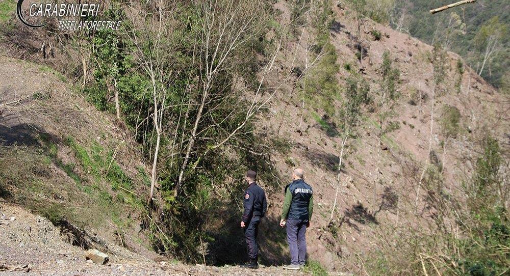 carabinieri forestali bosco malvito 03