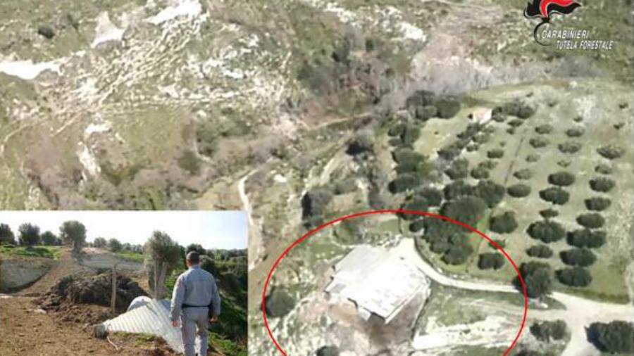 carabinieri forestali cessaniti azienda agricola