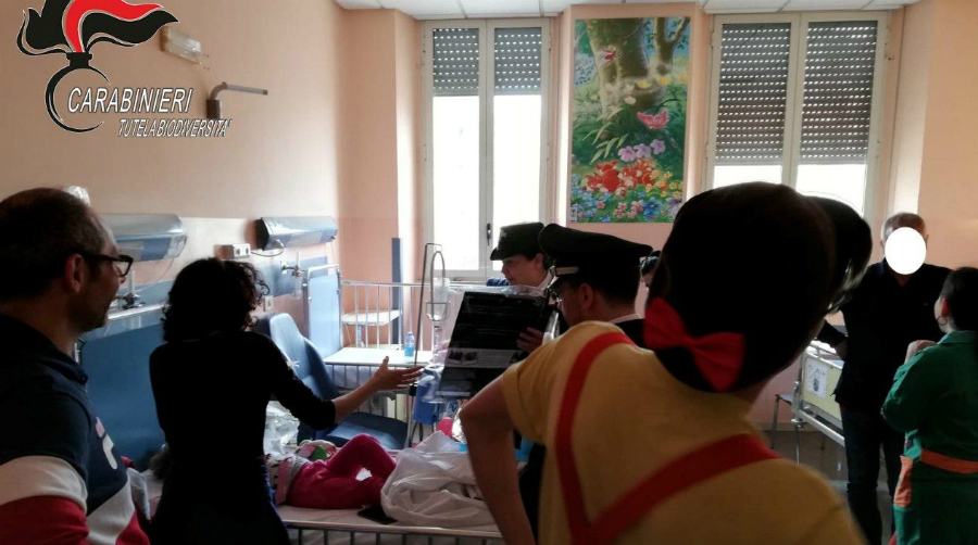 carabinieri forestali corsia cosenza ospedale 01