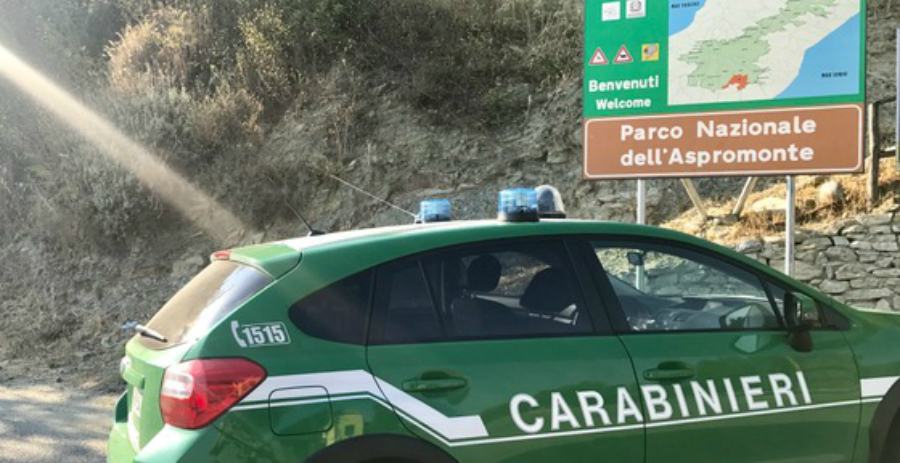 carabinieri forestali parco aspromonte