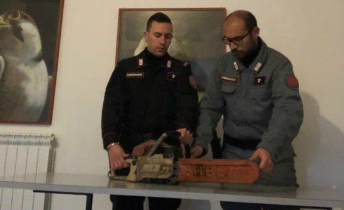 carabinieri forestali sequestro motosega