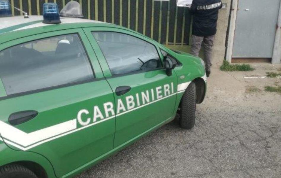 Sequestrata un'area di stoccaggio rifiuti, una denuncia 51 carabinieri forestali sequestro