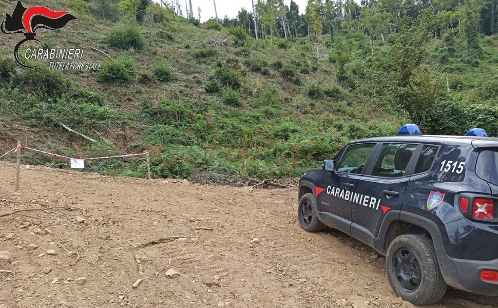 San Fili, sequestrata una strada abusiva realizzata per l'esbosco 51 carabinieri forestali strada san fili localita carrera