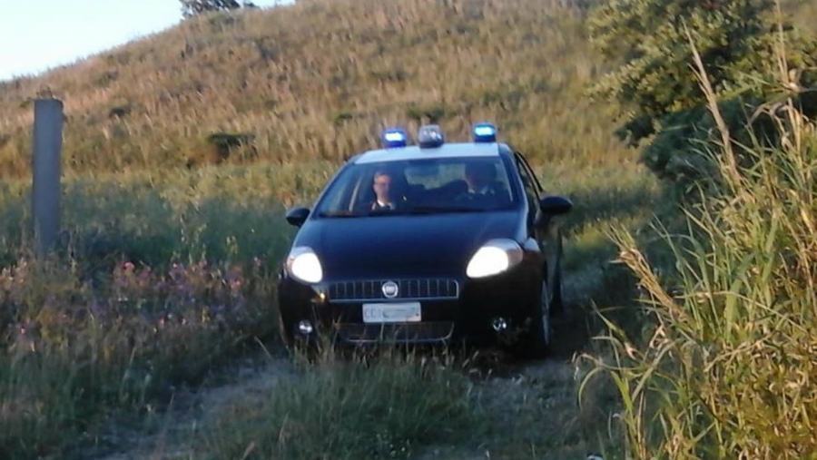 Schiacciato dal trattore mentre lavora in campagna, morto bracciante agricolo 51 carabinieri in campagna 3