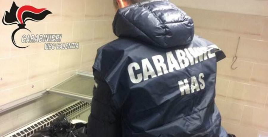 carabinieri nas vibo