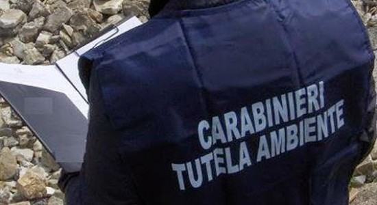 carabinieri noe 550x300 1