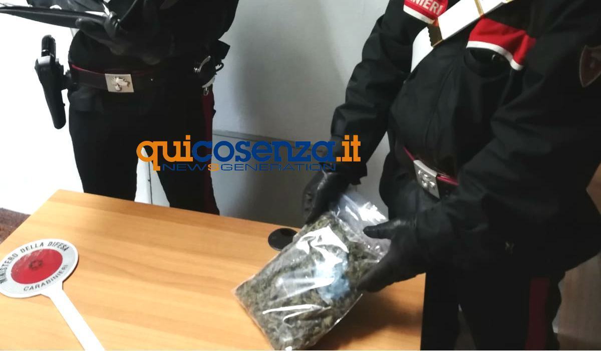 carabinieri paola marijuana 01