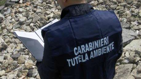 carabinieri tutela ambiente