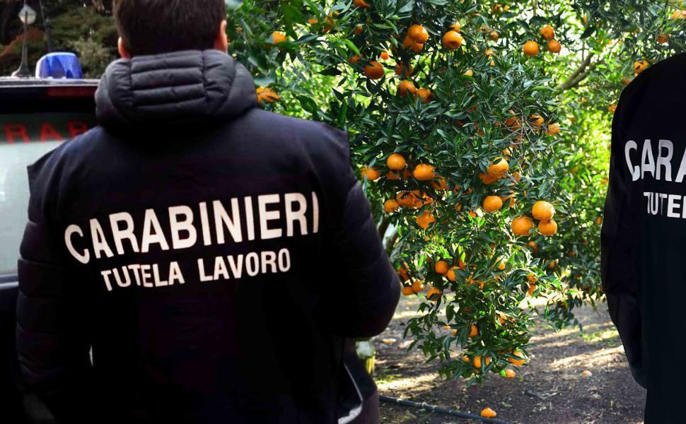 carabinieri tutela lavoro sfruttamento braccianti