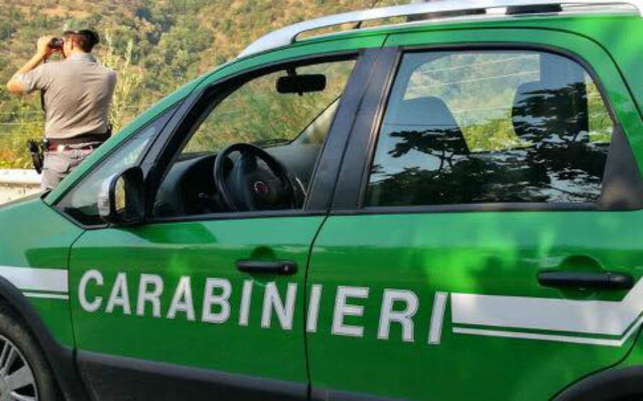 carabnieri forestali
