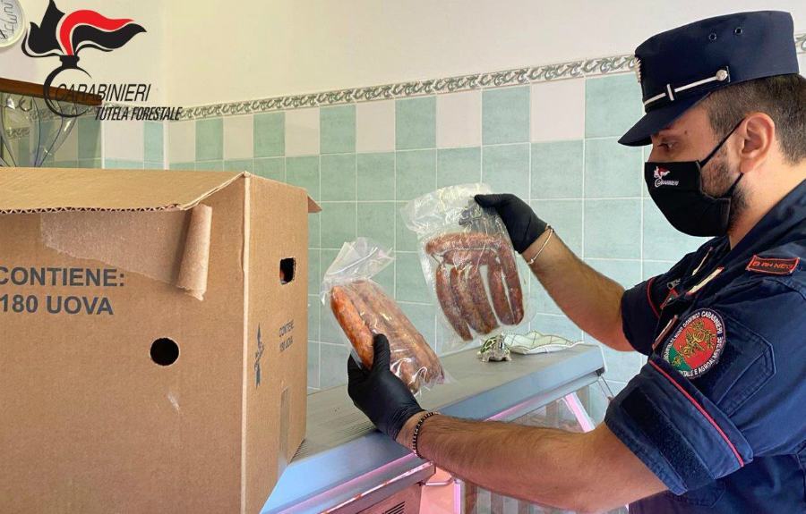 Sequestro in due macellerie a San Benedetto Ullano, carne scaduta e non tracciata 53 carne sequestro 01
