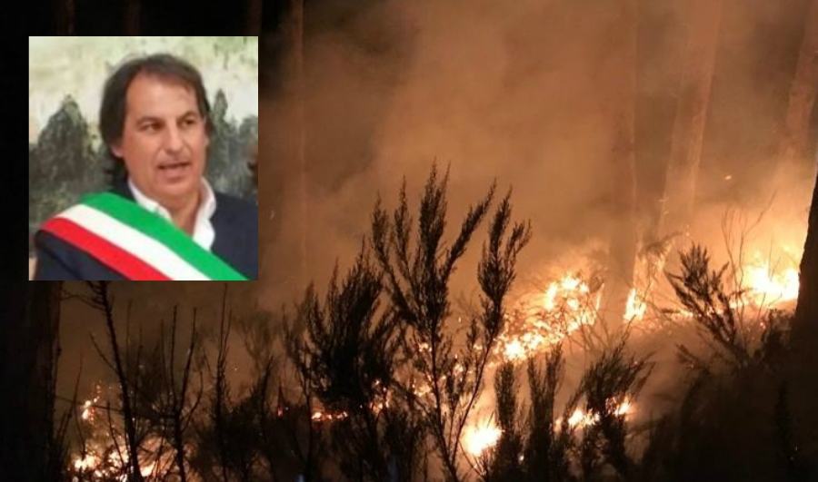 carolei incendi iannucci calabria verde