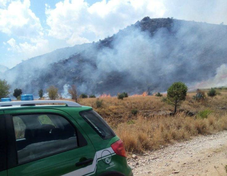 Incendi boschivi, una persona denunciata a Cetraro. Fiamme nel pomeriggio a Castrovillari 191 castrovillari cerasulo