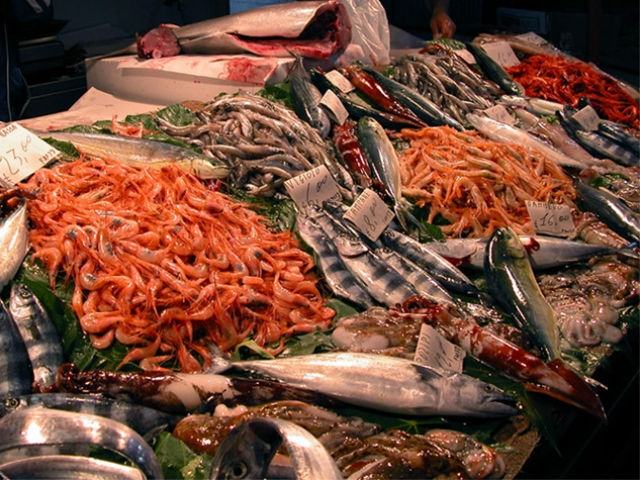 cbf5cf660f52344fc1e7194eed0b13f3