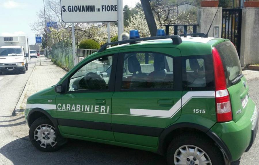 cc cfs san giovanni