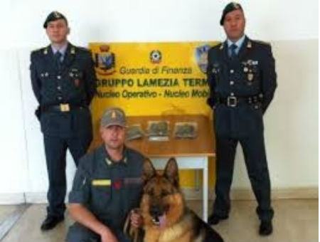 ccc91209e3946b396a3dce91fbc88626