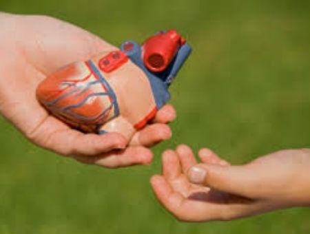 ccea953556708b1c5d34bd0b07f54bcc