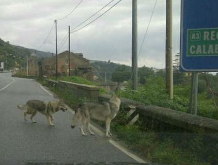 cd69d233c747ba667ad1c786e5445ac3