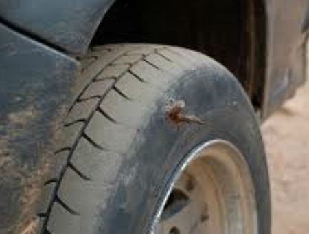 cd8a1c53ca0d608116358f16bc6eae83