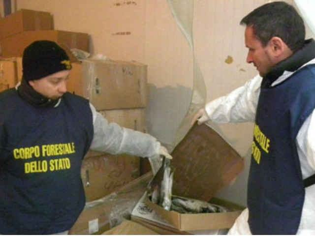 ce1ba2d7fa359744c9ff37fd1eee9e73