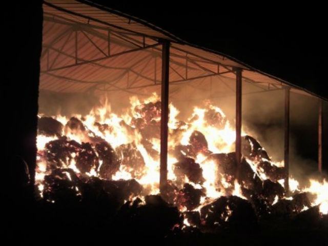 ceee4096d5685eeea05189db7dc04044