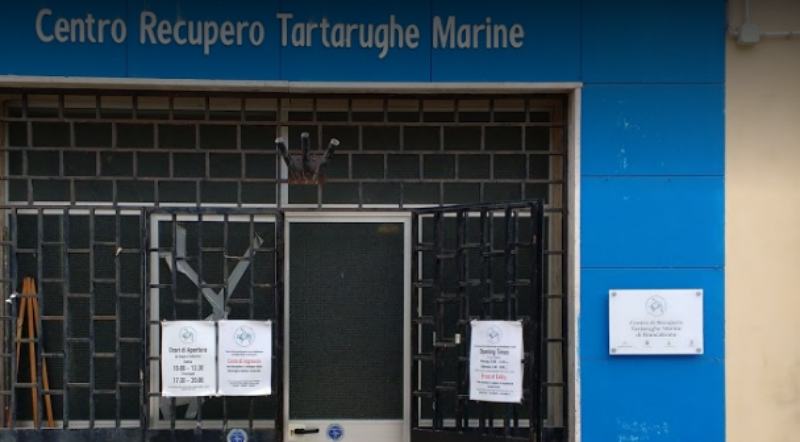 Devastato centro recupero per le tartarughe marine, danni anche agli animali 51 centro recupero tartarughe marine brancaleone