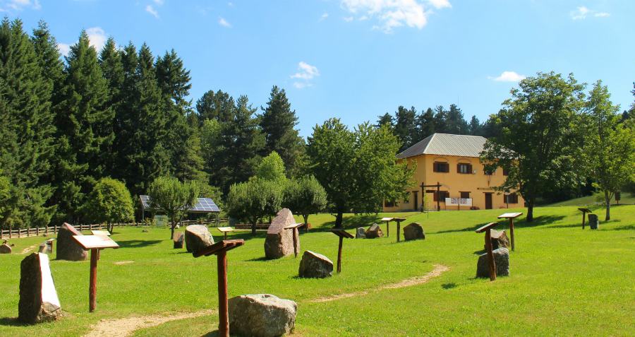 centro visite cupone