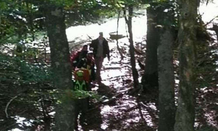 cercatore funghi socc alpino botte donato