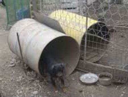 cf5d3cc18418f0a1e25c63f287f0c63d