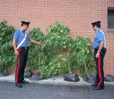 cfe761818a3565970655ed35e6386b2a