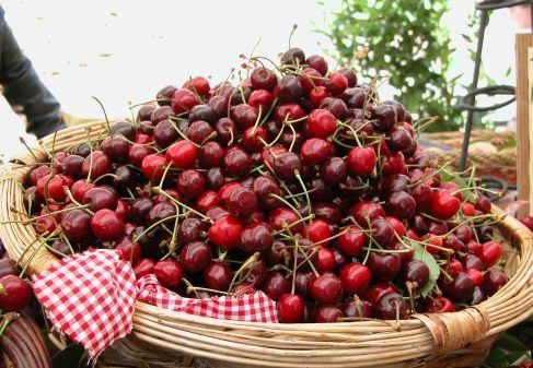 Roseto Capo Spulico festeggia il suo ''oro rosso'' con la Festa delle Ciliegie 51 ciliegie