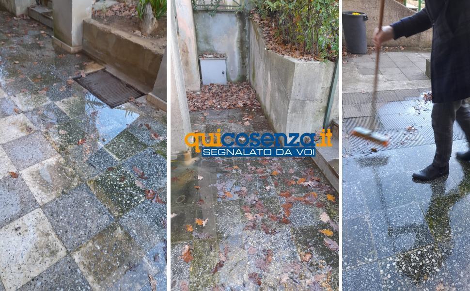 cimitero allagamento foglie cosenza