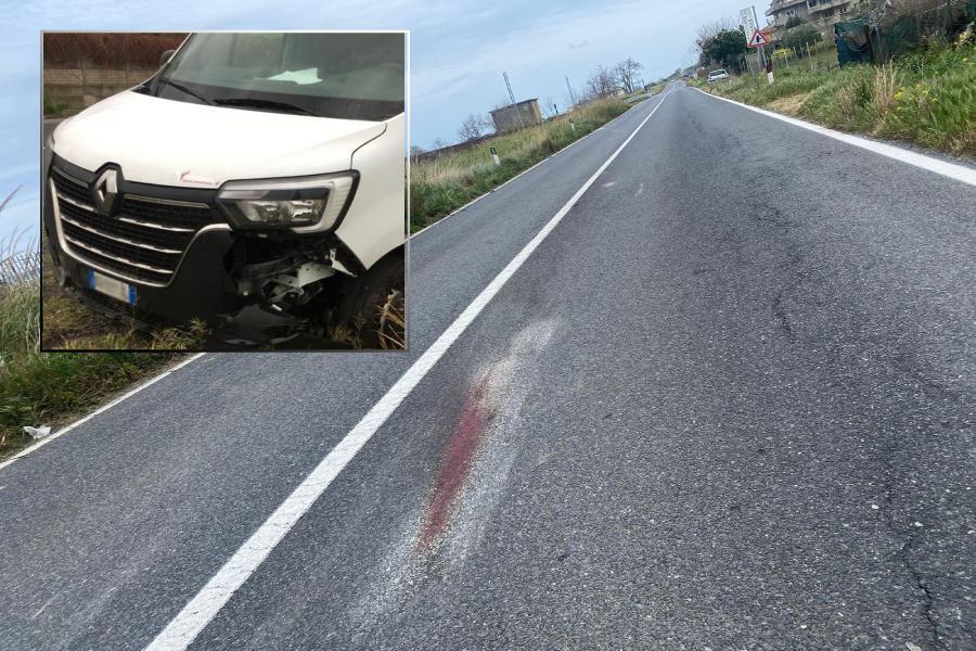 Statale 106, impatto tra un furgone ed un branco di cinghiali: "servono azioni" 68 cinghiali ss106 incidente furgone mandatoriccio