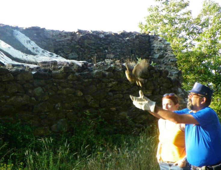 civetta liberata CIPR