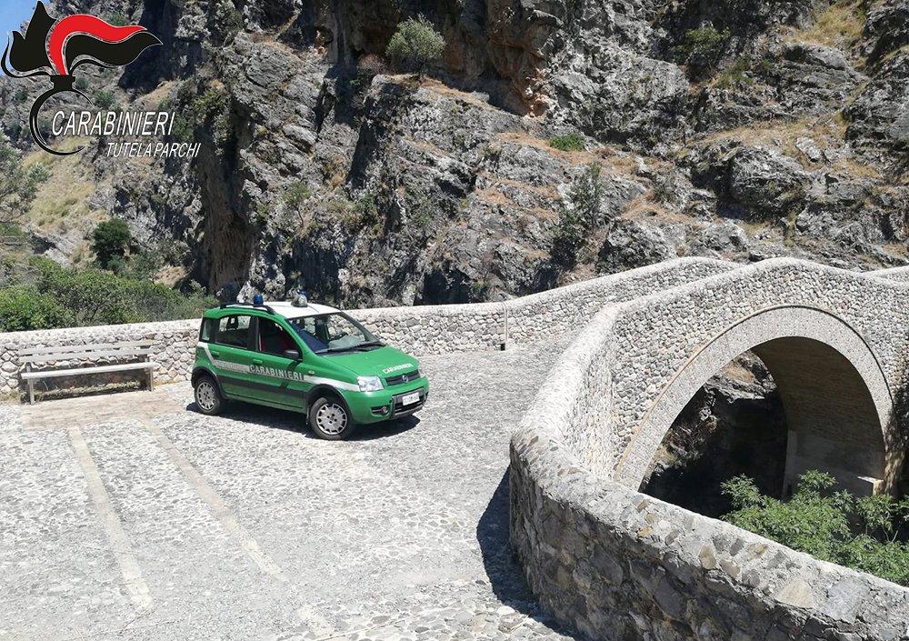 civita carabinieri forestale